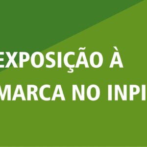 Consultoria Para Exposição à Marca no INPI